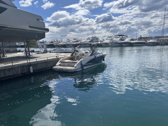 Scarab 255 Platinum usata in vendita