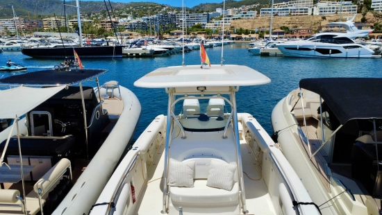 Boston Whaler 320 Outrage de segunda mano en venta