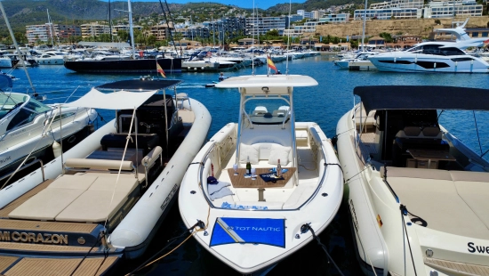 Boston Whaler 320 Outrage de segunda mano en venta
