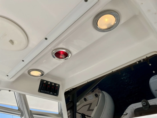 Boston Whaler 320 Outrage de segunda mano en venta