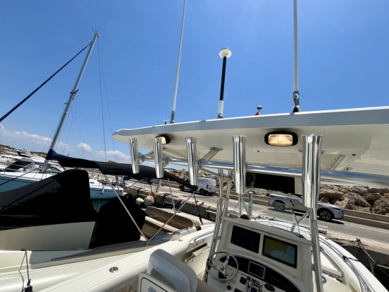 Boston Whaler 320 Outrage de segunda mano en venta