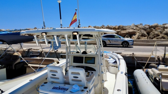Boston Whaler 320 Outrage de segunda mano en venta