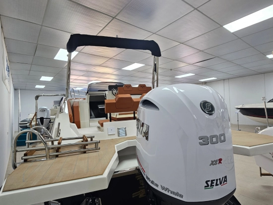 Trimarchi Dylet 85 novos à venda