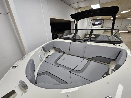 Bayliner V20 novos à venda