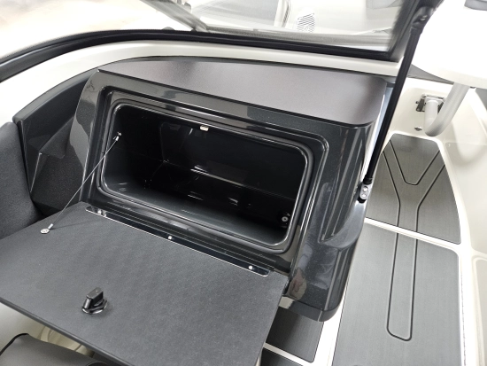 Bayliner V20 novos à venda