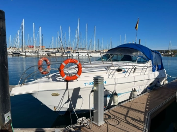 Barco en venta  Lema Duna 290