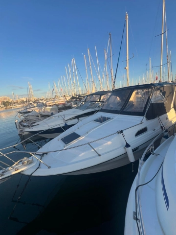Bayliner 340 usata in vendita