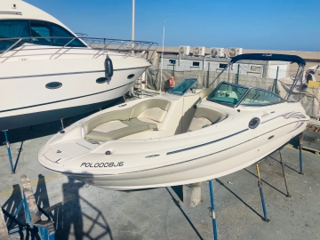 Sea Ray Sundeck 240 usado à venda