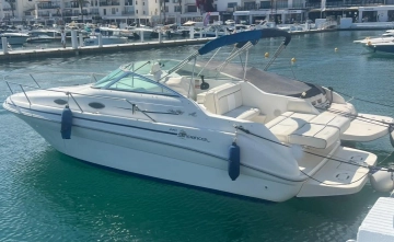 Sea Ray Sundancer 240 de segunda mano en venta