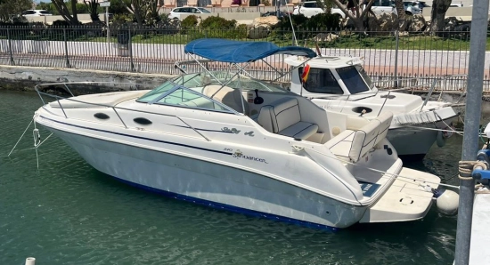 Sea Ray Sundancer 240 usata in vendita