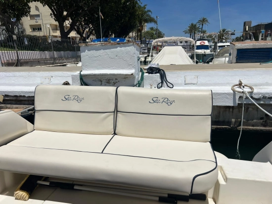 Sea Ray Sundancer 240 usata in vendita
