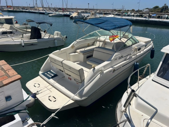 Sea Ray Sundancer 240 usata in vendita