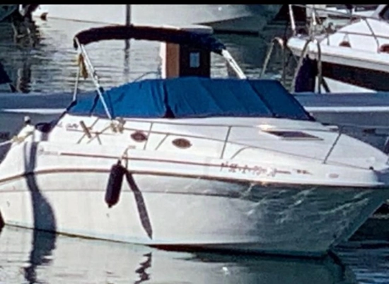 Sea Ray Sundancer 240 de segunda mano en venta