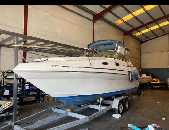 Sea Ray Sundancer 240 de segunda mano en venta