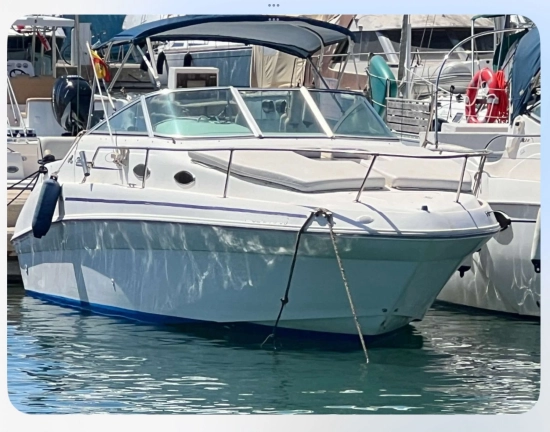Sea Ray Sundancer 240 de segunda mano en venta