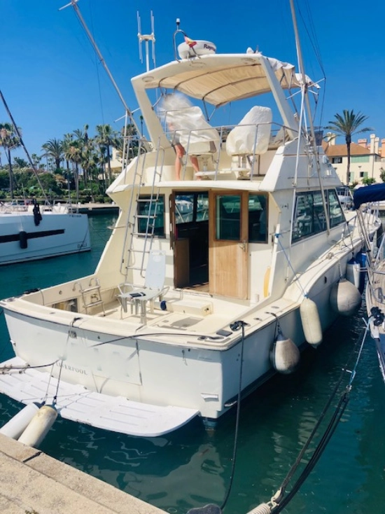 Hatteras Yachts 43 Convertible usata in vendita
