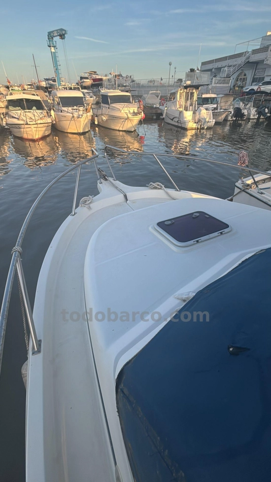 Starfisher 780 usata in vendita