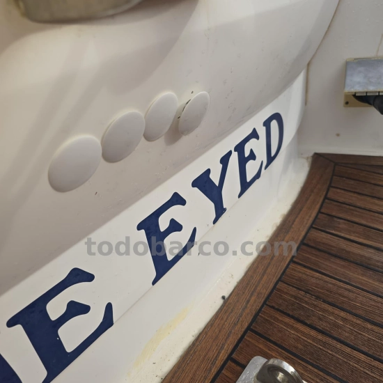 Sealine SC29 usado à venda