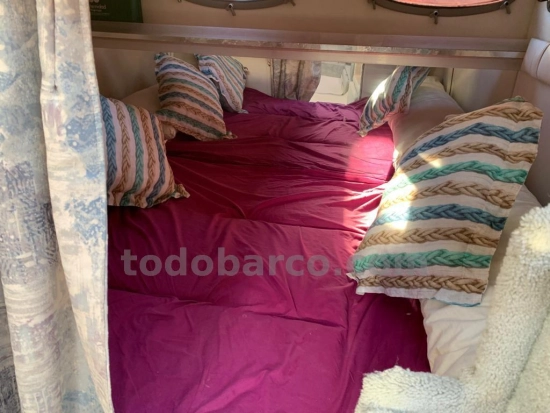Celebrity 310CR de segunda mano en venta