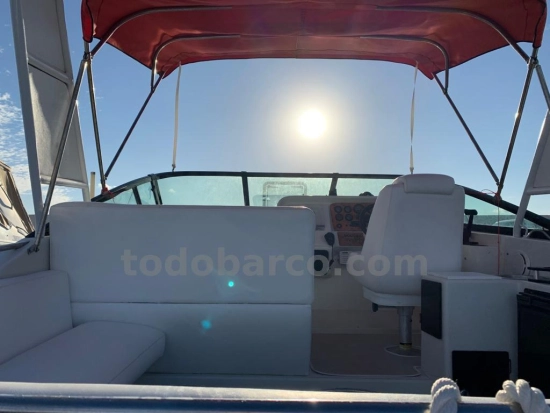 Celebrity 310CR de segunda mano en venta