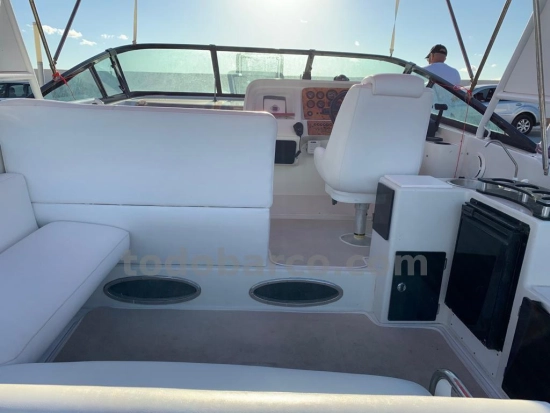 Celebrity 310CR de segunda mano en venta