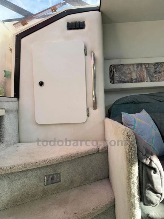 Celebrity 310CR de segunda mano en venta