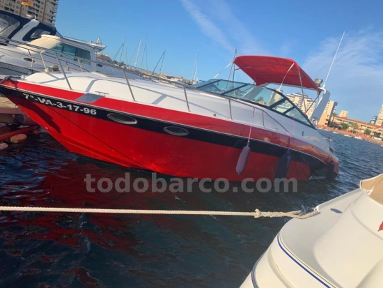 Celebrity 310CR de segunda mano en venta