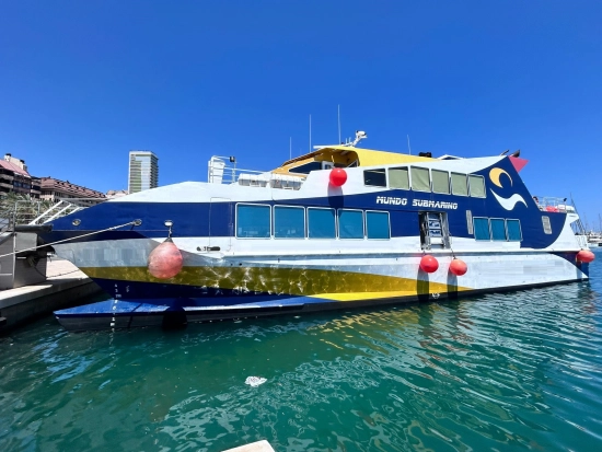 Metalship Dock Barco de pasajeros de segunda mano en venta