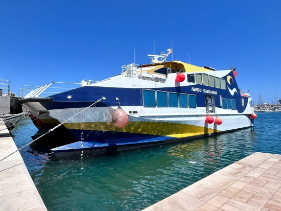 Metalship Dock Barco de pasajeros de segunda mano en venta