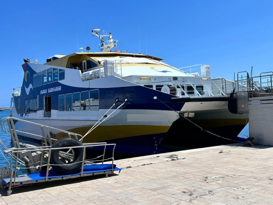 Metalship Dock Barco de pasajeros de segunda mano en venta