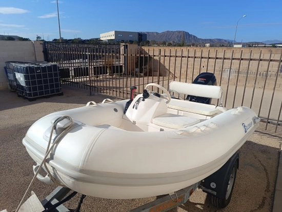 Goldenship Venus 290 de segunda mano en venta
