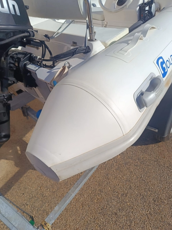 Goldenship Venus 290 de segunda mano en venta