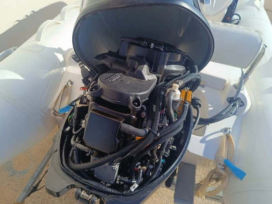 Goldenship Venus 290 de segunda mano en venta