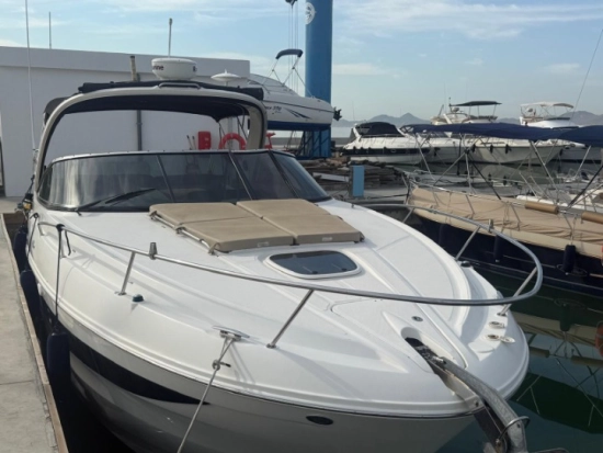 Sea Ray 370 Venture de segunda mano en venta