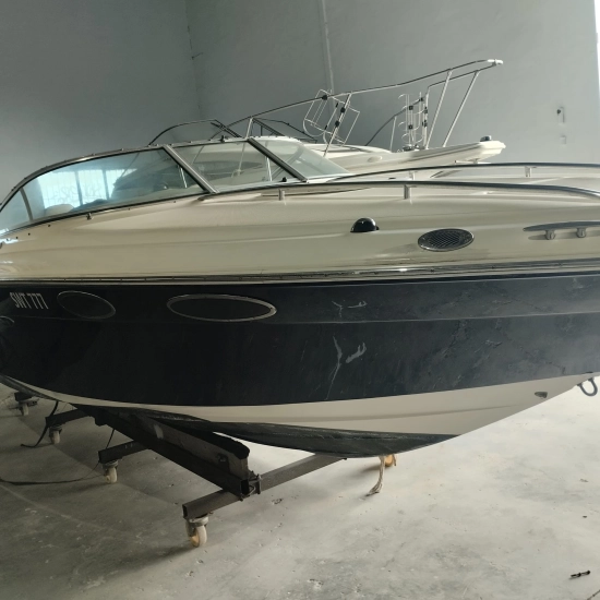 Sea Ray 240 SSE usata in vendita