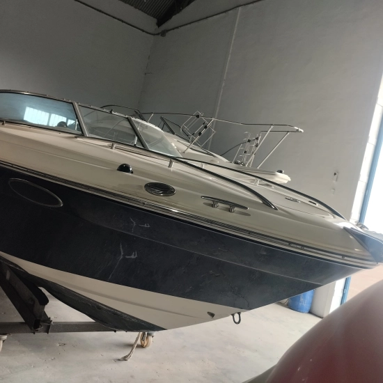 Sea Ray 240 SSE usata in vendita