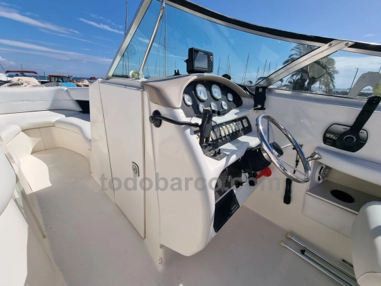 Sea Ray 260BR usado à venda