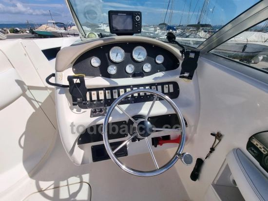 Sea Ray 260BR usado à venda