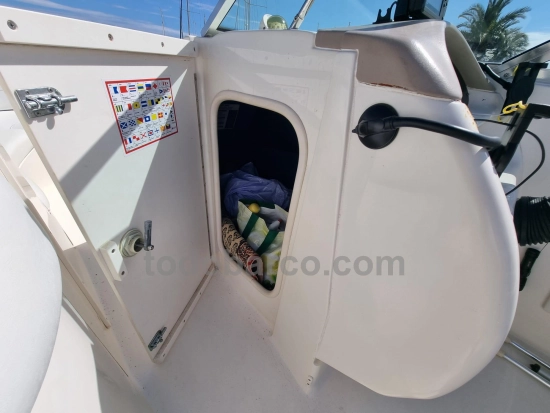 Sea Ray 260BR usado à venda