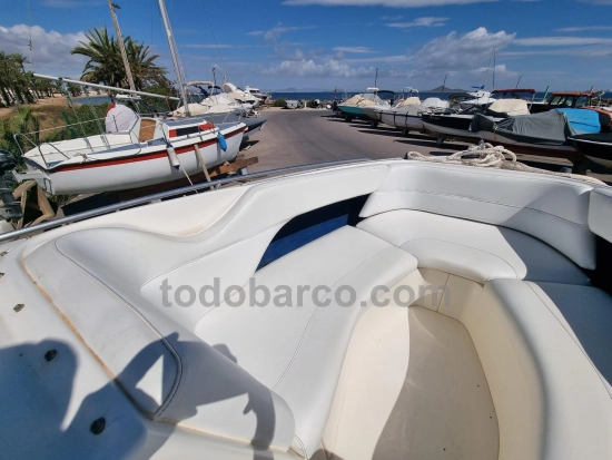 Sea Ray 260BR usado à venda