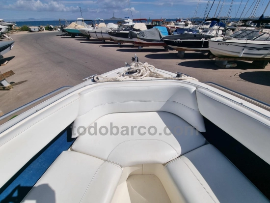 Sea Ray 260BR usado à venda