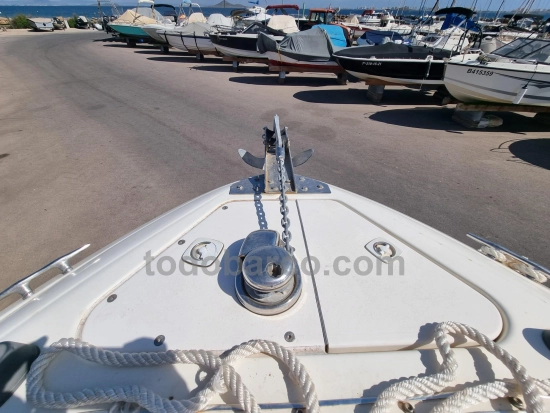 Sea Ray 260BR usado à venda