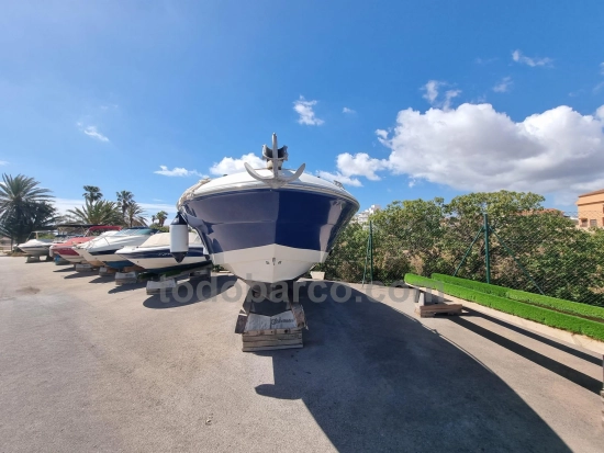 Sea Ray 260BR usado à venda