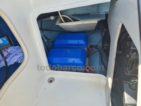 Sea Ray 260BR usado à venda