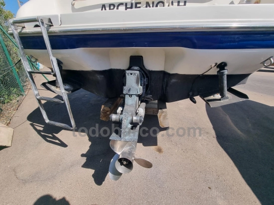 Sea Ray 260BR usado à venda