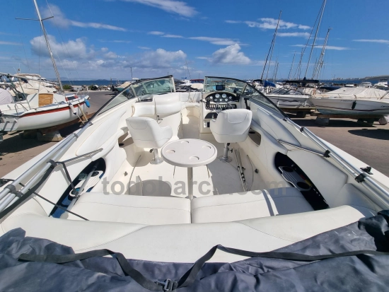 Sea Ray 260BR usado à venda