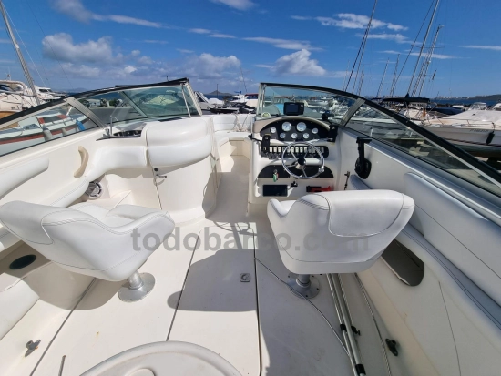 Sea Ray 260BR usado à venda