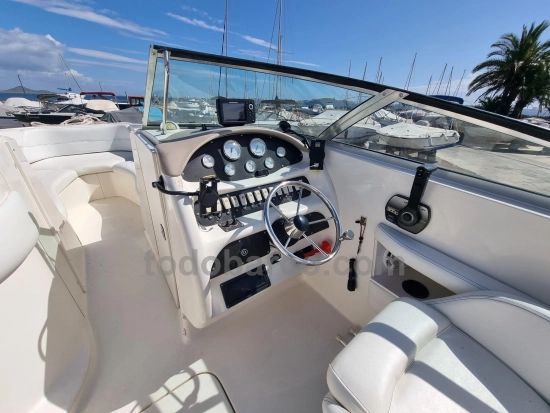 Sea Ray 260BR usado à venda