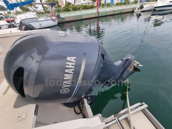 Jeanneau Merry Fisher 645 usado à venda