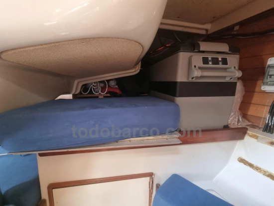 Yamaha 36 usata in vendita